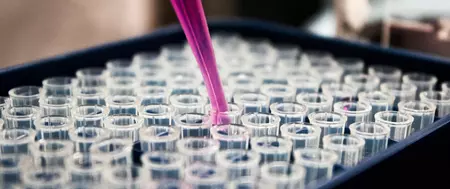 [Translate to Francais:] 