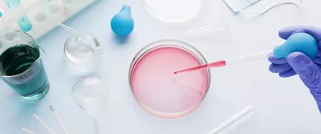 [Translate to Francais:] Carlo Erba Anapath