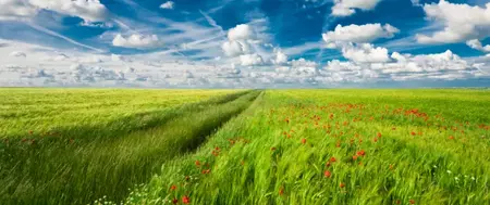 [Translate to Francais:] Aktivkohle für Biogasproduktion